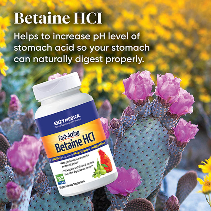 Enzymedica Betaine HCl - 120 caps - Nutritional Supplement at MySupplementShop by Enzymedica