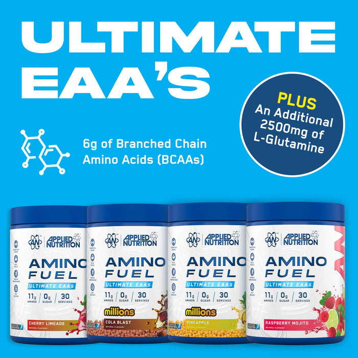 Applied Nutrition Amino Fuel 390g