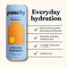 Punchy Hydration 12 x 330ml