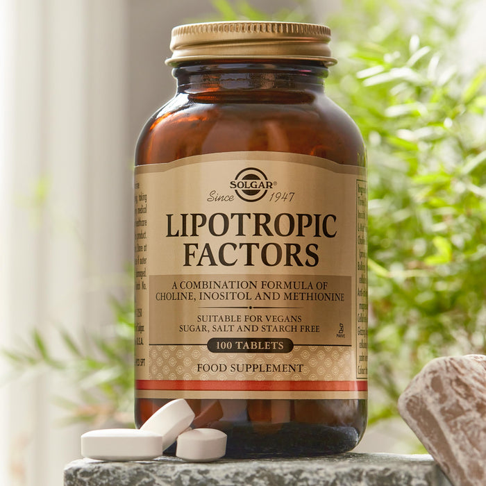 Solgar Lipotropic Factor 20x100 TAB