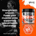 Warrior Creatine + Vitamins 360g