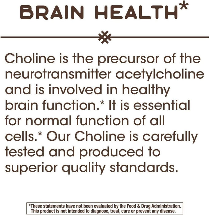 Nature's Way Choline 500mg 100 Vegan Tablets - Brain & Memory at MySupplementShop by Nature's Way