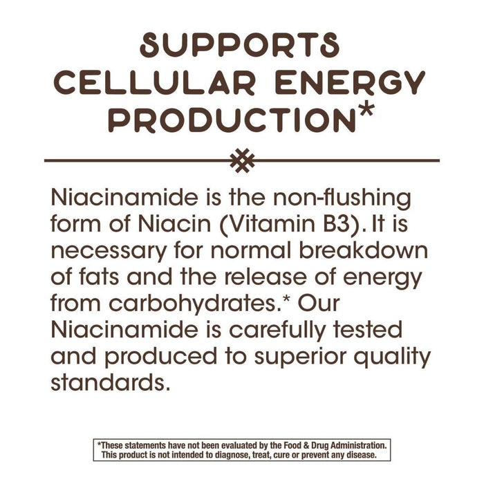 Nature's Way Niacinamide (Non-Flushing) 500mg 100 Capsules - Digestive Health at MySupplementShop by Nature's Way