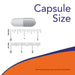 NOW Foods L-Carnosine 500 mg 50 Veg Capsules - Health and Wellbeing at MySupplementShop by NOW Foods