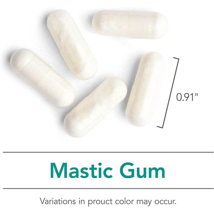 Nutricology Mastic Gum 120 Vegetarian Capsules - Digestive Health at MySupplementShop by Optimox